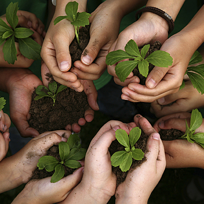 Timeline: Evolución histórica de la educación ambiental.