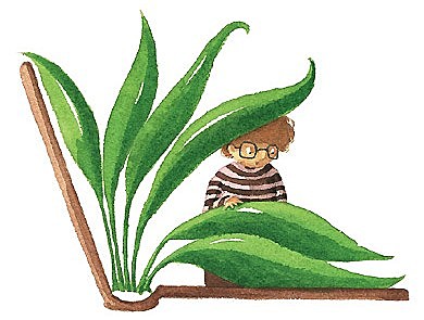 EDUCACIÓN AMBIENTAL.