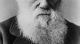 Timeline: Charles Darwin (1809-1882)