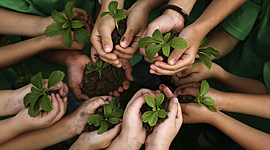 Timeline: Evolución histórica de la educación ambiental.