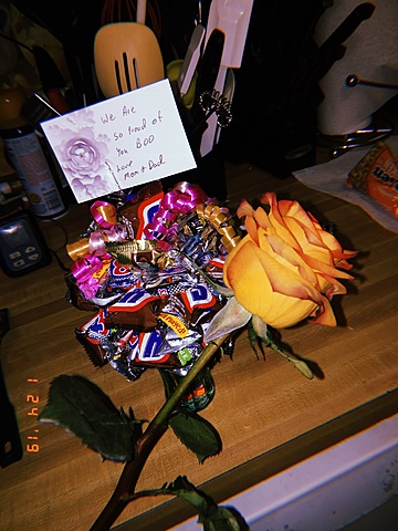 Fargo South Dual @home