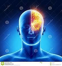 Investigaciones de Dax y Auburtin