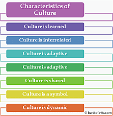 Cultures as Symbolic Constructions