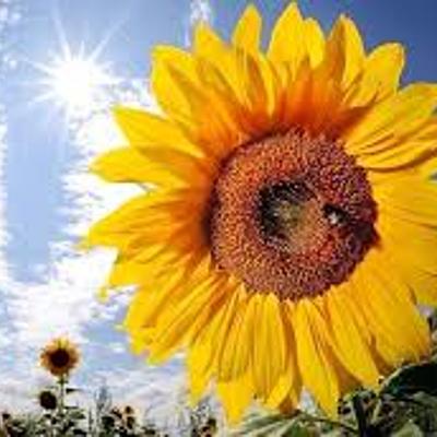 Timeline: Ärkamisaeg Liisumaria Sugul 11.D