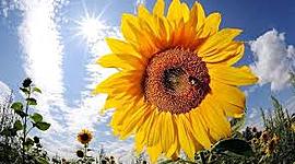 Timeline: Ärkamisaeg Liisumaria Sugul 11.D