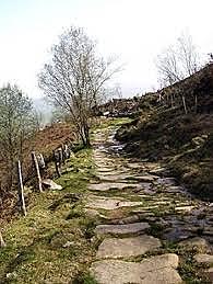 La Calzada Romana desde La Pesquera a Bárcena