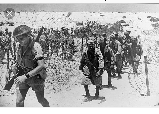 Rendición del Afrika Korps