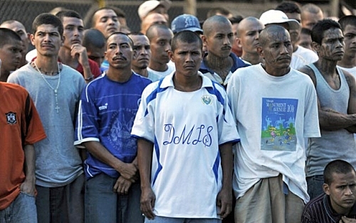 Crime Rate Decreased