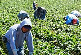 Chavez Works Full Time