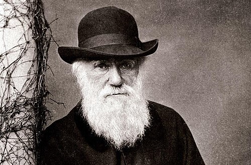 Libro de Darwin - Origen de las especies.