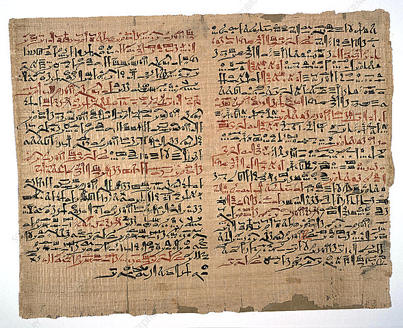 Edwin Smith Surgical Papyrus