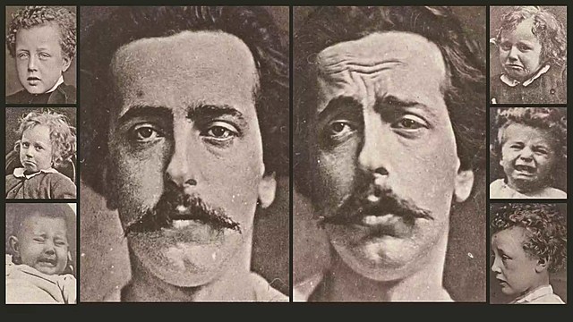 Evolution of expression