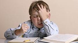 Timeline: Tanulmányaim