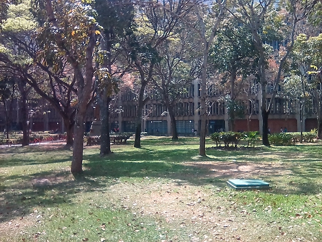 ¿Que universidad debo elegir?