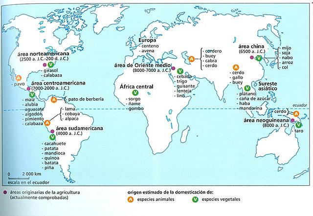 Neolítico en el Mundo