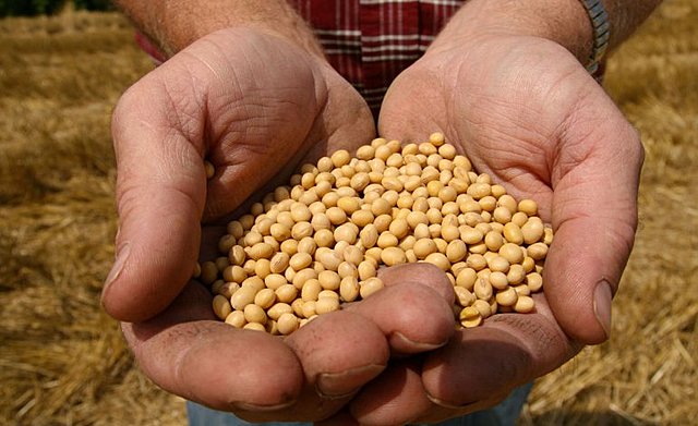 Creacion de la Junta reguladora de Granos