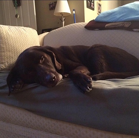 Saying Goodbye to Fudge