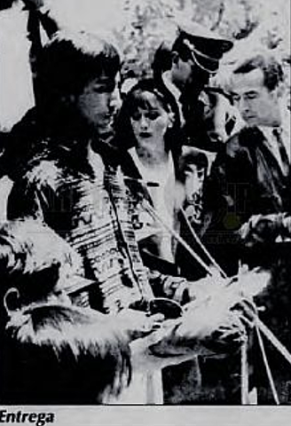 Antonio Navarro wolf