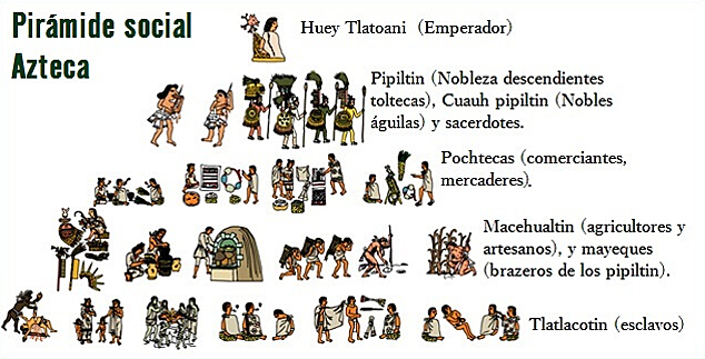 Organización política y social