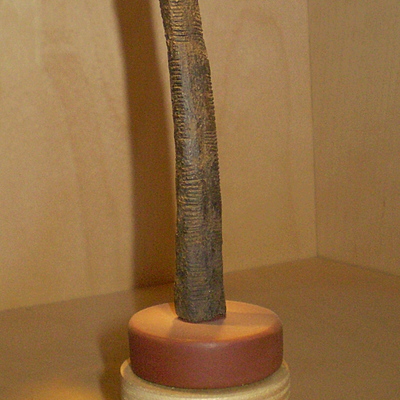 Timeline: Storia Della Matematica