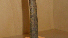 Timeline: Storia Della Matematica