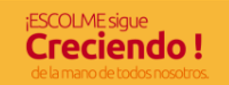 Resolución Técnicas laborales