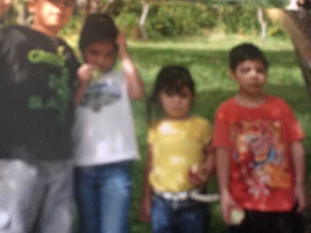 The Group Story Begins