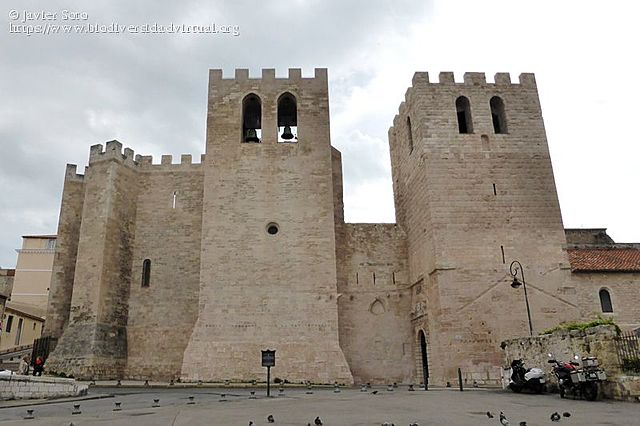 Monasterio San Víctor (Didascalicon)