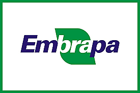 Criação da EMBRAPA