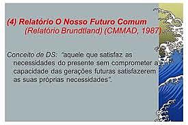 Nosso futuro comum
