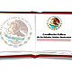 Constitucion mexico