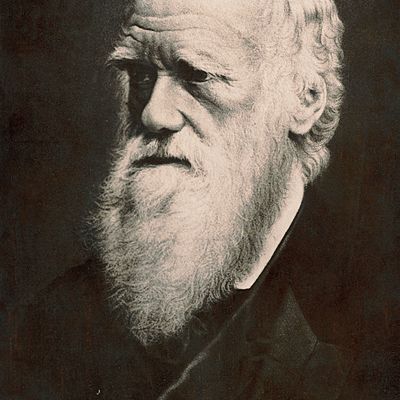 Timeline: Charles Darwin Timeline February 12, 1809 - April 19, 1882