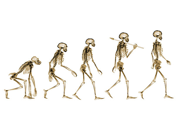 Darwin announces Theory of Evolution
