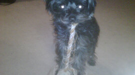 Timeline: All Things Trudie