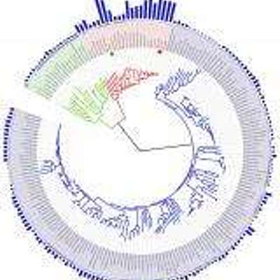 Timeline: Charles Darwin, 12 February, 1809-19 April 1882