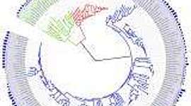 Timeline: Charles Darwin, 12 February, 1809-19 April 1882