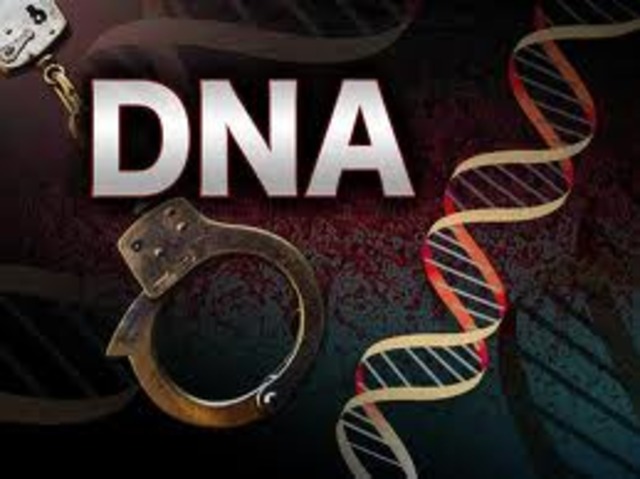 DNA Fingerprinting Applied to Criminal Cases