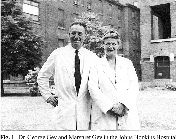 The Death and life of Immortal