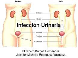 MORBILIDAD AÑO 2010