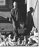 Schechter Poultry v U.S.