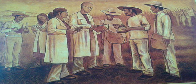 Etapa V. La sociedad objeto de estudio de la sociología.