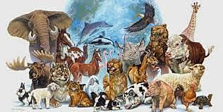 Etapa VII. Sociedad animal.