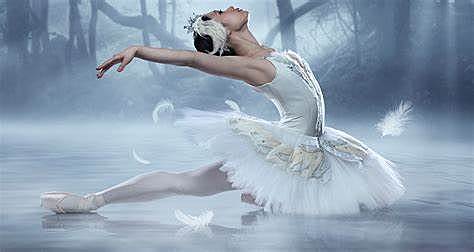 Swan Lake