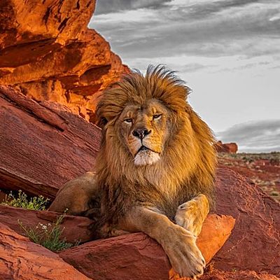 Timeline: administracion