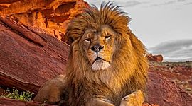 Timeline: administracion