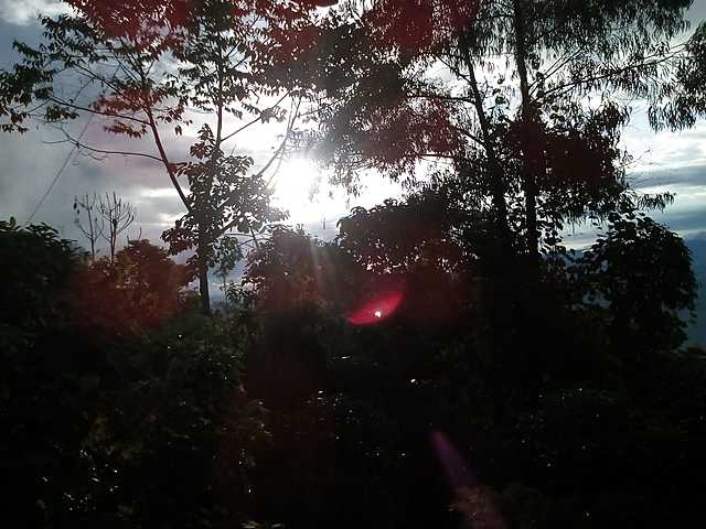 Abuelos maternos y paternos