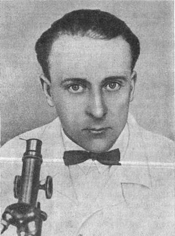 Первая работа