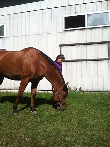 Winning Horseback Riding Show