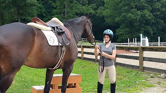 Getting Thrown Off A Horse