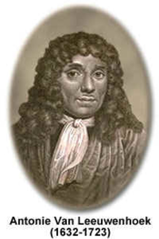 Leeuwenheok